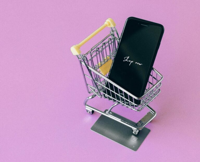 E-Commerce License - Person managing online business or e-commerce documents