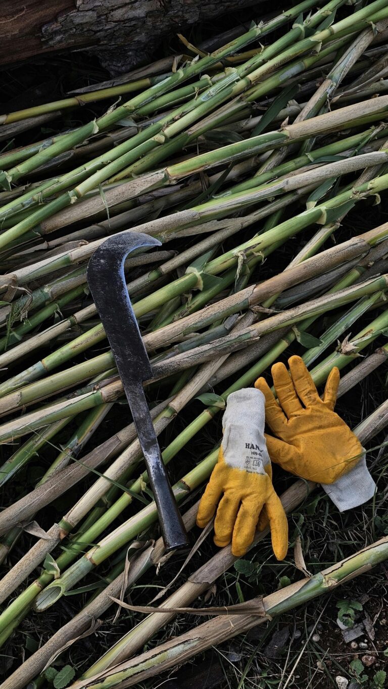 Agricultural License- provided by OfinGlobal in UAE and worldwide.